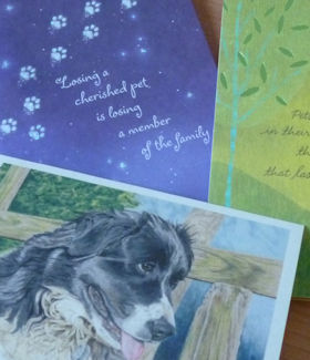 �J�[�h��������