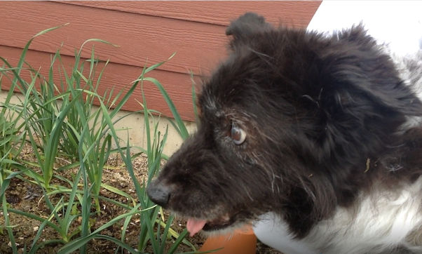 �L�t�����������`