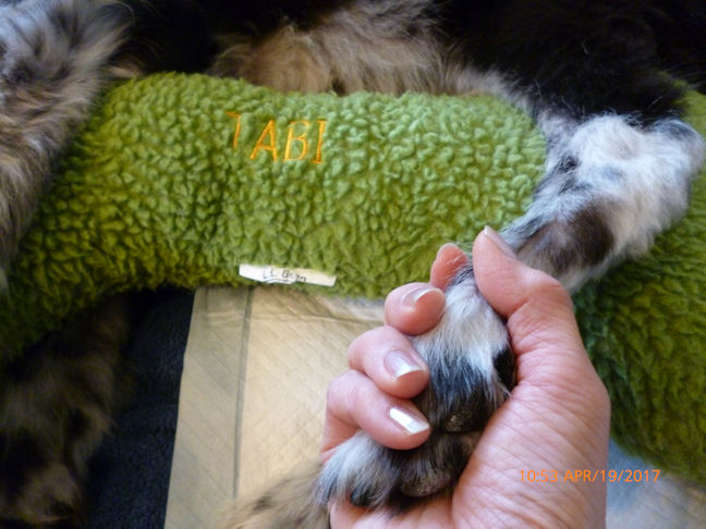 �}�}�͂����ɂ����