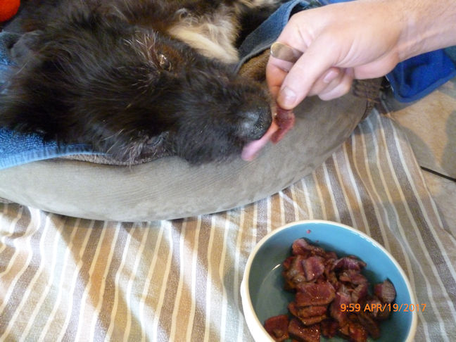 ���������ėǂ�������