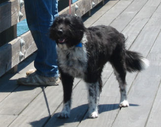 サンフランシスコ