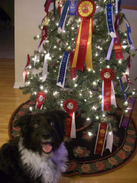 ツリーとリボン