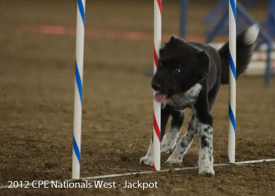 �`�����s�I���V�b�v