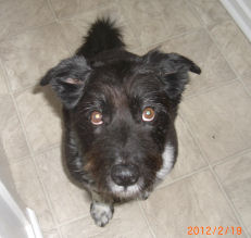 �܂�����