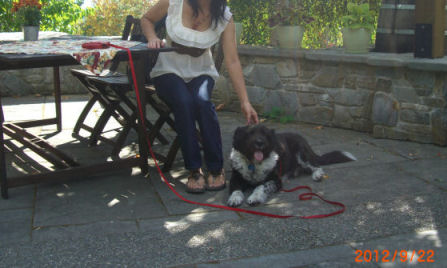 �܂܂Ƃ�������