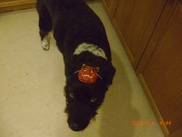 ���т���