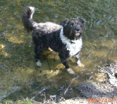 �����Ԃ���