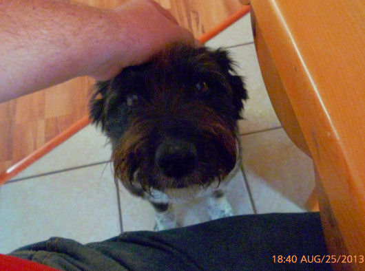 ��������