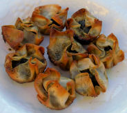 �G�X�J���S