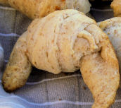 �N�����b�T��