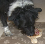 �X�e�[�L��H�ׂ�s�`�a�h