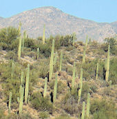 �T�{�e���R