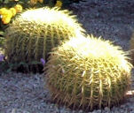 �ۃT�{�e��