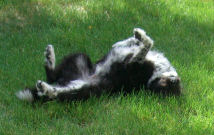 �S���S��