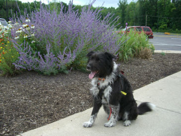 ���K���X�s�`�a�h