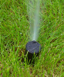 �X�v�����N���[