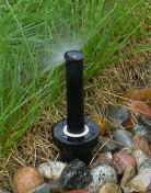 �X�v�����N���[