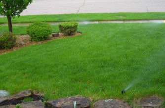 �X�v�����N���[