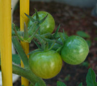 �~�j�g�}�g