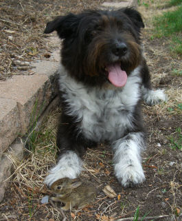 �s�`�a�h�Ǝq�E�T�M