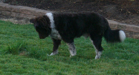 �u�Ԃ����E�T�M�������I�v