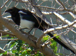 �A�����J�J�T�T�M