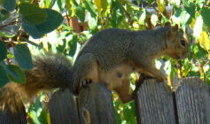 �̂������X