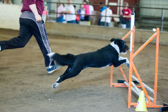 チャンピオンシップ