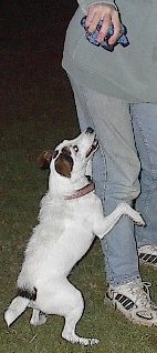 eva2.jpg (15453 bytes)